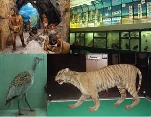 Орыс порно кастингтерін қараңыз