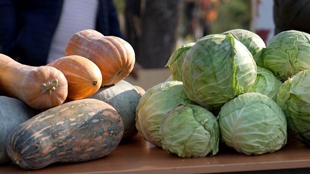 Изображение выглядит как Натуральные продукты, овощи, производить, Местные пищевые продукты

Содержимое, созданное искусственным интеллектом, может быть неверным.