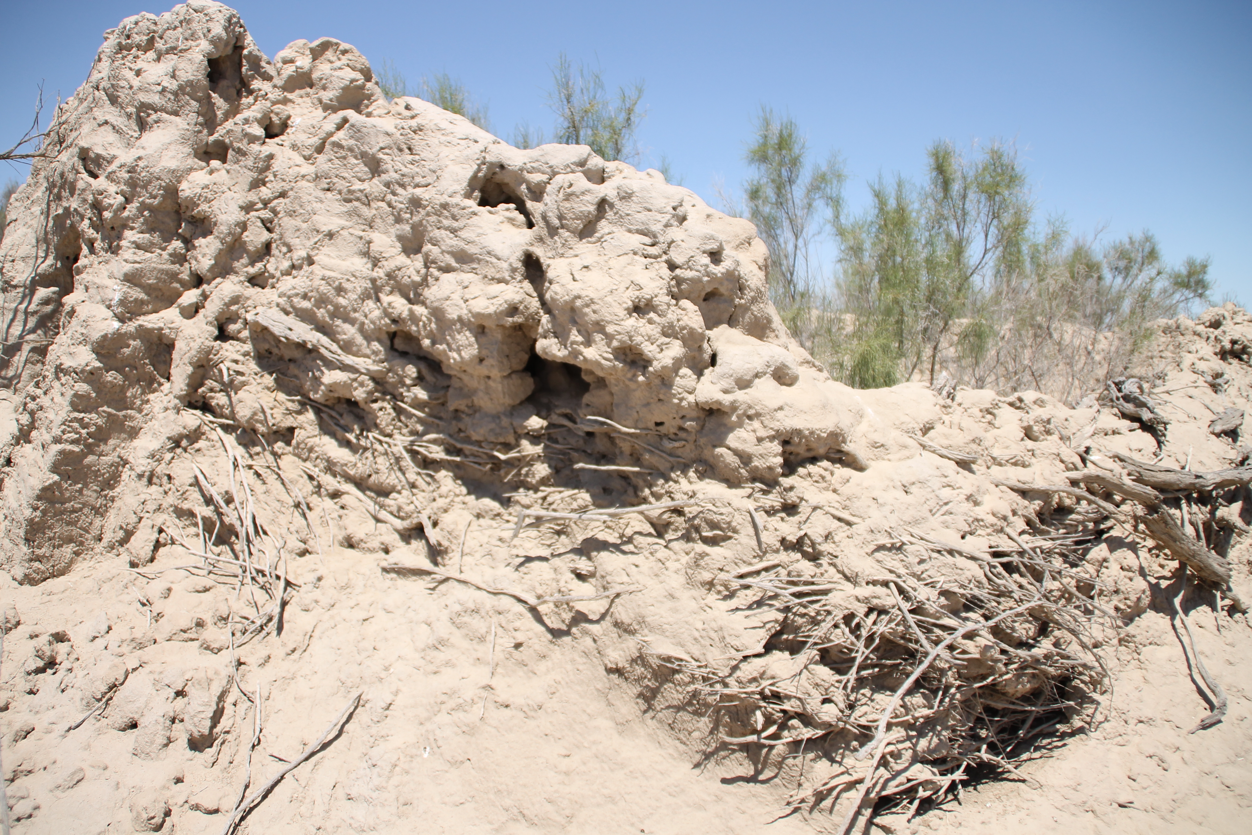 Земфираның сексуалдылығы