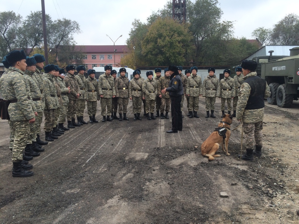 На страже правопорядка в армии