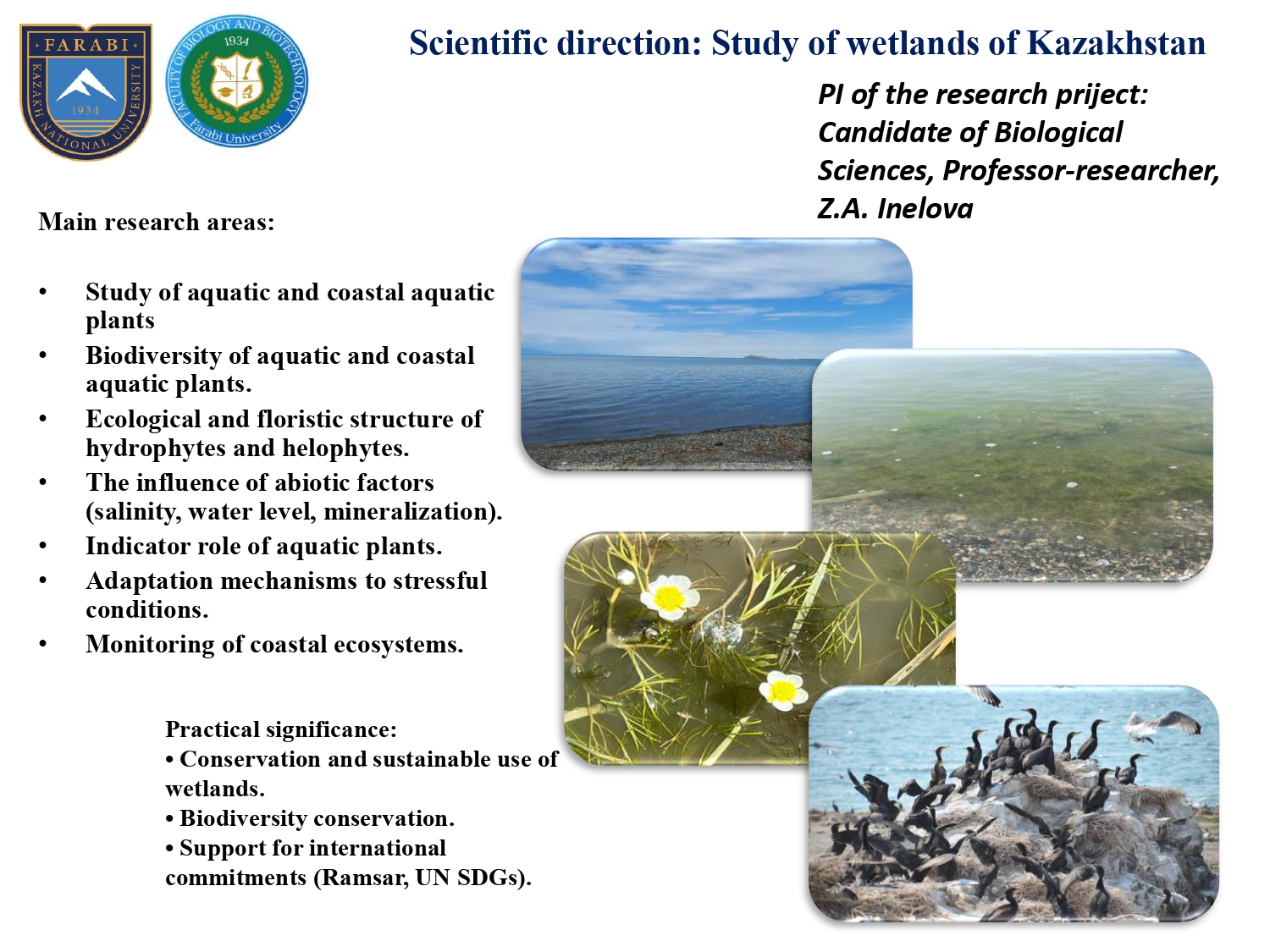 ҚазҰУ Биология және биотехнология факультетінің ғылыми жобалары ТДМ 14 (Су экожүйелерін сақтау) және ТДМ 15 (Құрлық экожүйелерін сақтау) мақсаттарына қызмет етеді