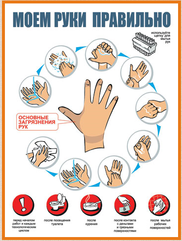 Hand hygiene as a basis for the prevention of Infections related to the provision of medical care