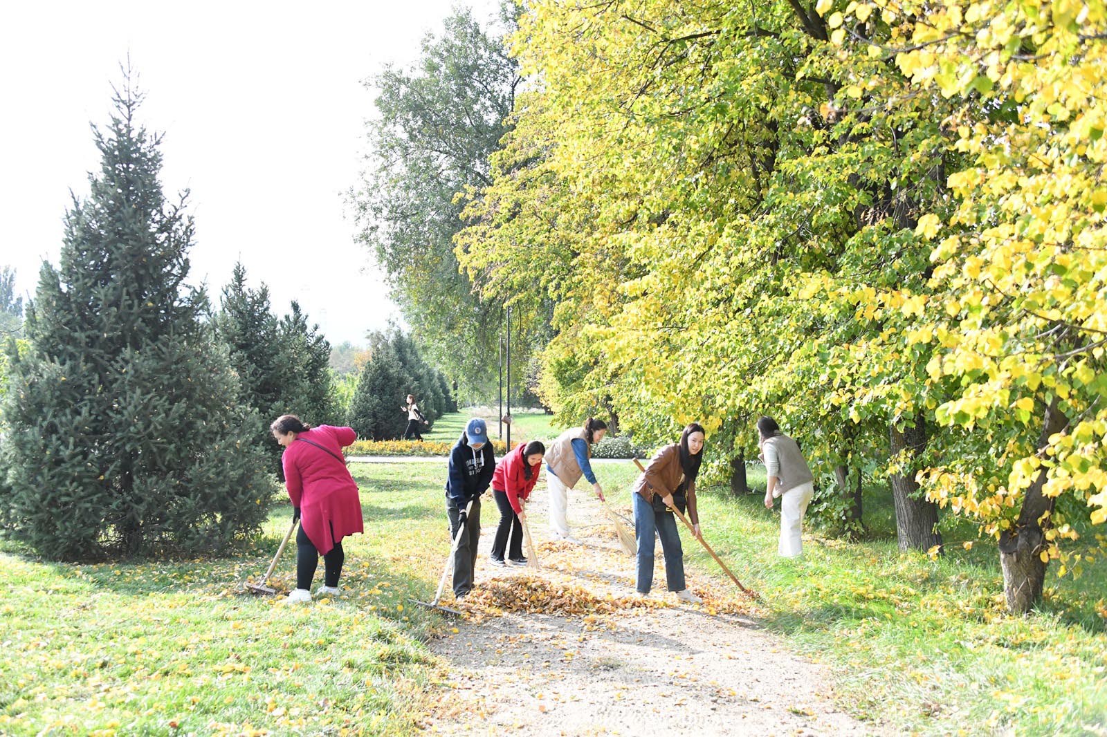 A clean-up day was held in KazNU