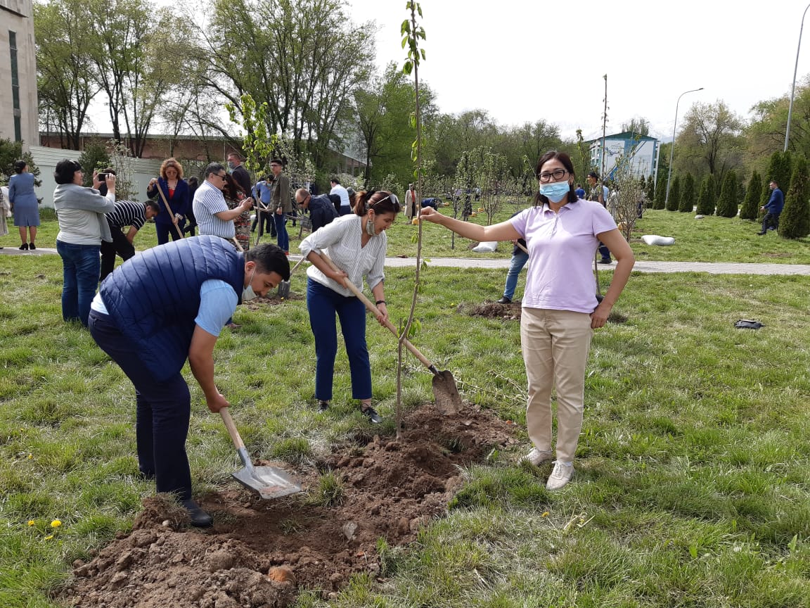An event was held to plant fruit and berry trees in our kaznu tow