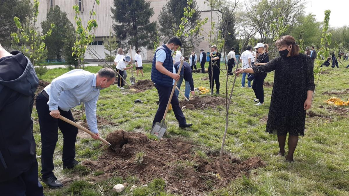 ҚАЗҰУ-ДА ЖЕМІС ЖИДЕК АҒАШТАРЫН ОТЫРҒЫЗУҒА ІС-ШАРАСЫ ӨТКІЗІЛДІ