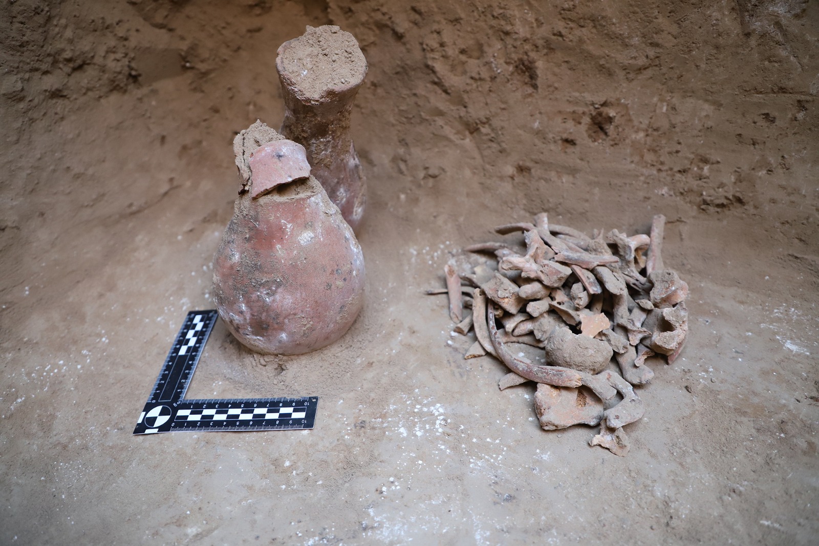 ҚазҰУ археологтары ерекше құнды бұйымдар тапты