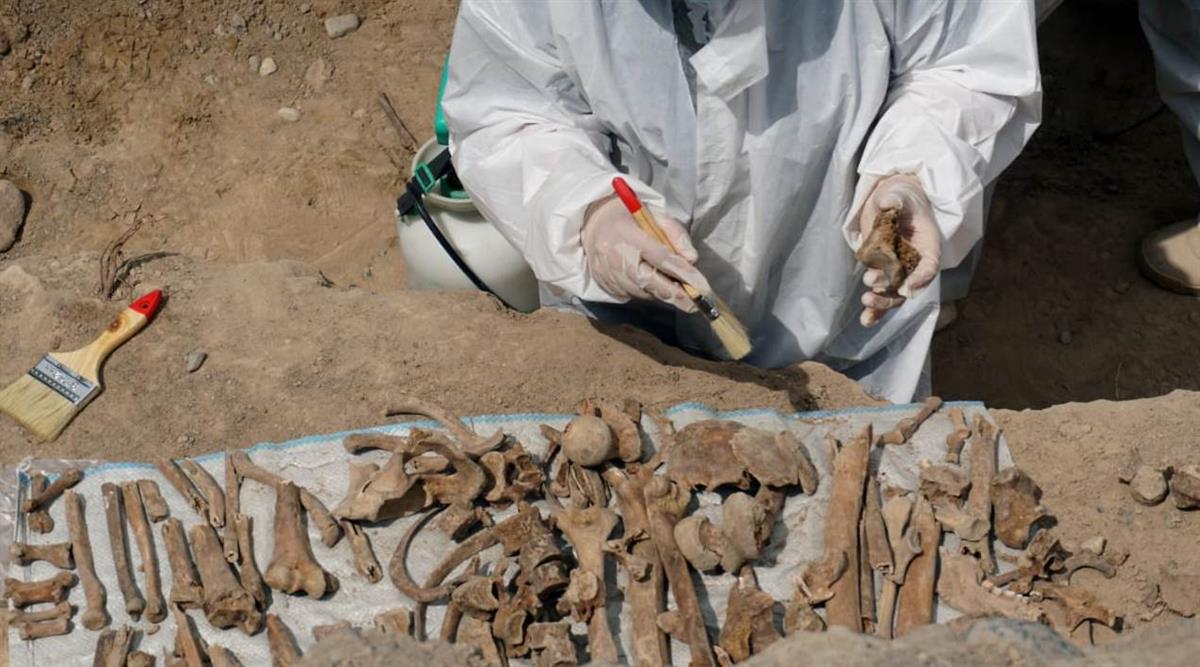 KazNU scientists participate in the development of forensic archeology