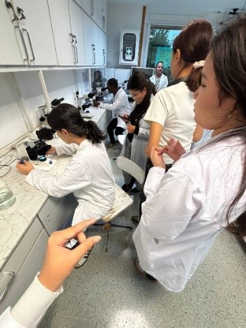 MATE университетіндегі (Будапешт, Венгрия) академиялық ұтқырлық бағдарламасы бойынша есеп (ЦУР/ТДМ аясында)