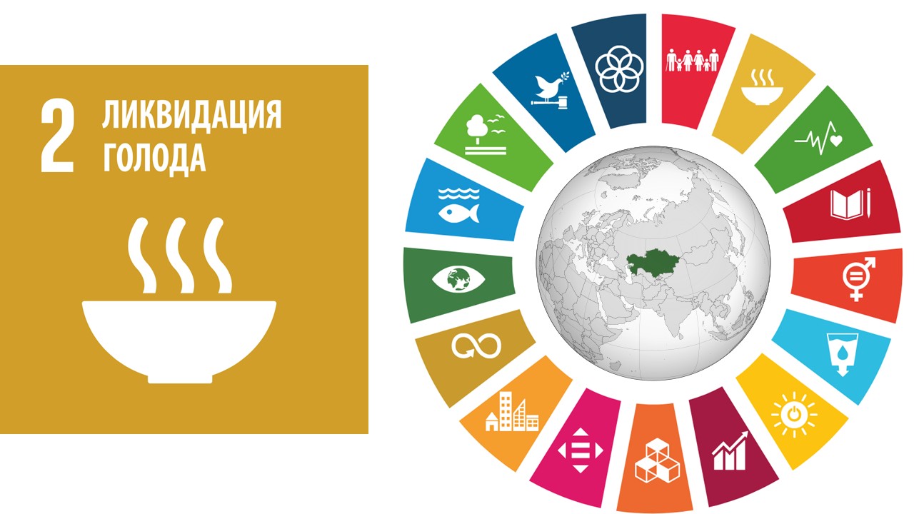 Семинар-тренинг по ЦУР 2: «Общество без голода и культура здорового питания»