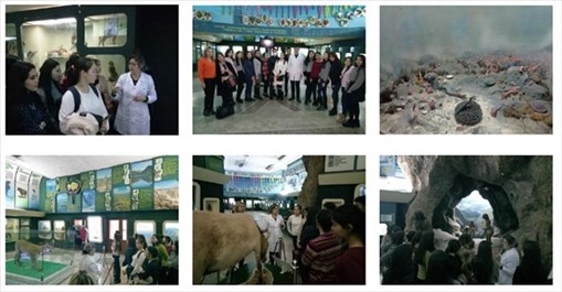 The Problem of Poaching in Kazakhstan: How to Solve It?