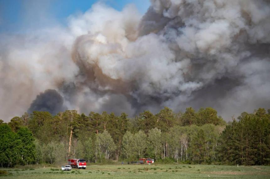Профилактика лесных пожаров – залог экологической безопасности