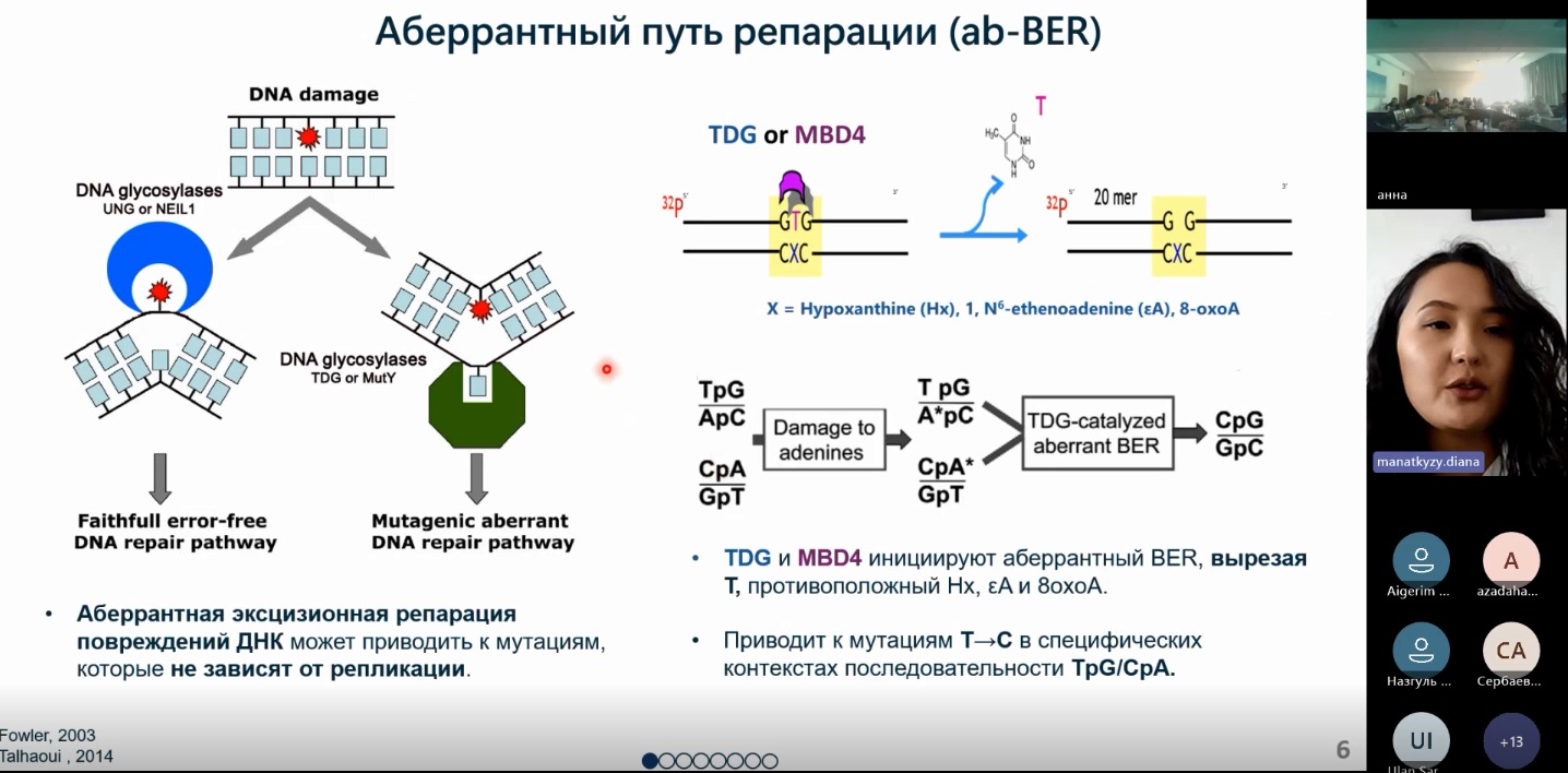 Предзащита PhD-диссертации Манапқызы Д.